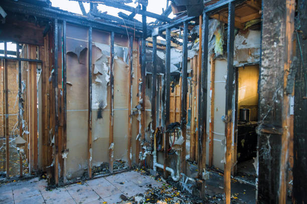 Professional Fire Damage Assessment technician working in Woodville, OH